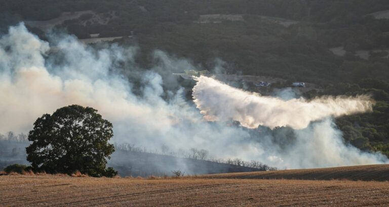 balikesir susurlukta orman yangini TKVsmMYW