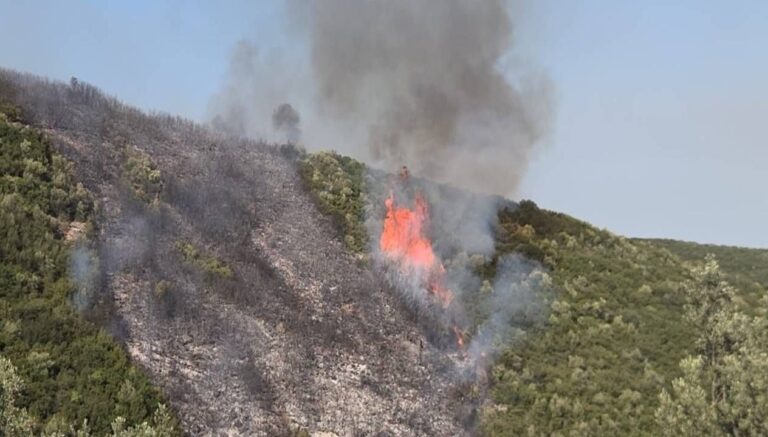 bursa orman yangini bir supheli gozaltina alindi e94Xi7gg