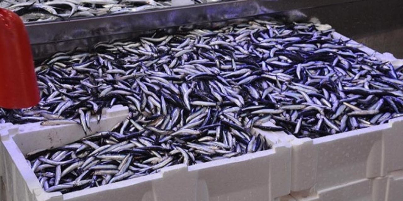 fiyati 100 liraya indi vatandas hucum etti uhxFVPwg