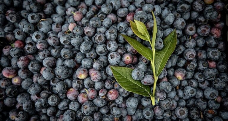 atiklari kullanip bahcesini ekip bicti paraya para demedi w4izewmJ.jpg