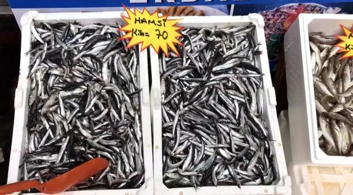 akcakoca balikci barinagi baskanindan taze balik uyarisi FmuHy9iq.jpg