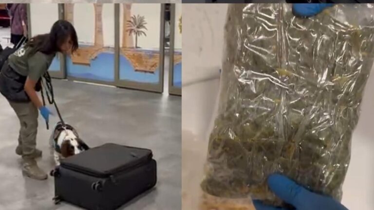 yolcunun-valizinden-uyusturucu-cikti-misir-gevrekleri-kutularina-gizlemis-SSXjK4uA.jpg